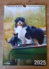 Kalender 2025 hunde gebraucht kaufen  Eggenfelden
