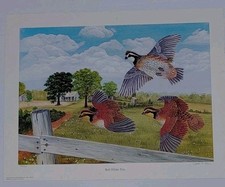 1981 duck stamp for sale  Roswell
