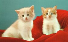 Vintage postcard cute for sale  Boiling Springs