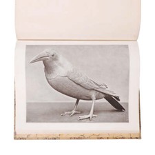 Collection édouard mène d'occasion  Paris XV
