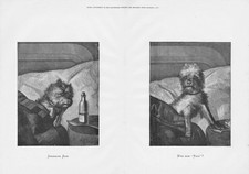 Terrier dog shamming for sale  GLASGOW