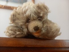 Top steiff bär gebraucht kaufen  Poing
