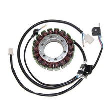 Electrosport statore stator usato  Genova