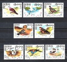 Animaux oiseaux dubai d'occasion  Lésigny