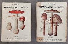 Livres maublanc tomes d'occasion  Lodève
