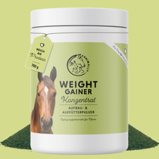 Weight gainer konzentrat gebraucht kaufen  Heidelberg