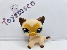 Original LPS Littlest Pet Shop: Siamês #3573 / Frete Grátis comprar usado  Enviando para Brazil