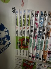 Dragon ball evergreen usato  Predappio