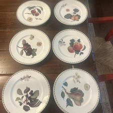 Queen fine bone for sale  Powder Springs