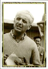 Figurina ferrari panini usato  Italia