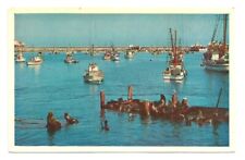 Monterey bay postcard for sale  USA