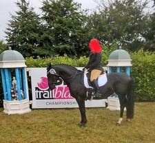 Helite hunt show for sale  GLOUCESTER