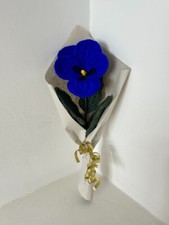 Pansy calla lily for sale  SWANLEY