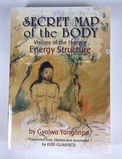 Secret Map of the Body: Visions of the Human Energy Structure (TPB, 2015), usado comprar usado  Enviando para Brazil