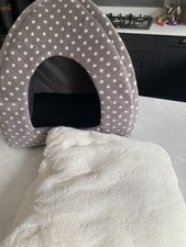 Grey cream pets for sale  RUISLIP