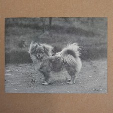 Greetings gift card for sale  CARNFORTH