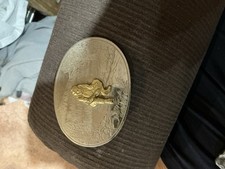 Gold panning minor for sale  Sparks