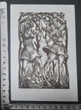 Wunderkammer exlibris 238 usato  Pescara