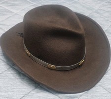 Western express brown for sale  HOLMFIRTH