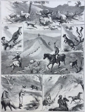 1882 engravings south for sale  Los Angeles