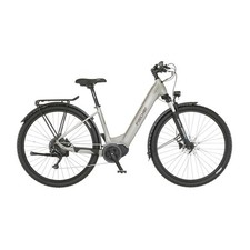 Bike fischer terra gebraucht kaufen  Rülzheim