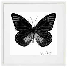Damien hirst the d'occasion  Paris XIX