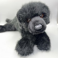 Large douglas cuddle for sale  Mystic