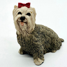 Yorkie dog yorkshire for sale  Aberdeen