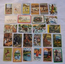 Hunting dogs fish for sale  Midland