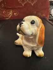 basset hound puppy for sale basset hound puppy for sale WESTON-SUPER-MARE