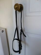 Brown leather foal for sale  HAWICK
