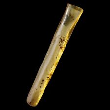Ambre insectes sab d'occasion  Saint-Pardoux