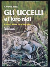 Alberto masi gli usato  Montesilvano