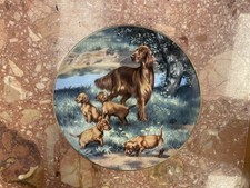 Irish setters plate for sale  RAMSGATE