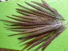 craft feathers for sale  DRONFIELD
