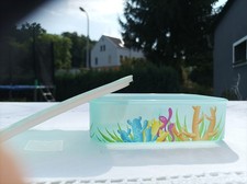 Tupperware quadro 500 gebraucht kaufen  Bad Schlema