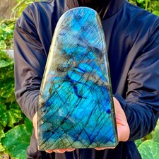 3.7lb natural elongated d'occasion  Expédié en Belgium