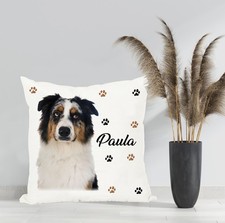 Coussin berger australien d'occasion Coussin berger australien d'occasion  Saint-Martin-Boulogne