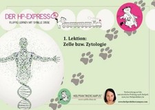 Express lernskript zur gebraucht kaufen  Stuttgart