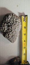 Natural chalcedony specimen for sale  Clever