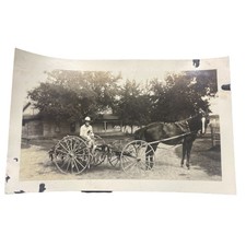 Vintage photo horse for sale  Fowler