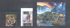 Tigre catlike birds usato  Spedire a Italy