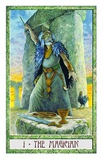 The Druidcraft Deck: Using the magi..., Carr-Gomm, Step, usado comprar usado  Enviando para Brazil