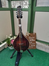 Eastman mandoline gebraucht kaufen  Dresden