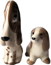 szeiler dog for sale szeiler dog for sale LEAMINGTON SPA