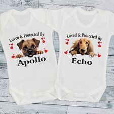 Loved protected dog for sale  WELLING