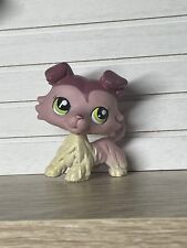 Petshop chien colley d'occasion  Expédié en Belgium
