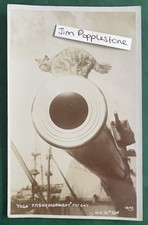 Hms dreadnaught pet for sale  SOUTHAMPTON