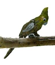 Bambole Casa Grigio Calopsite Falcon Miniatura Uccello Giardino Volatili Gabbia comprar usado  Enviando para Brazil