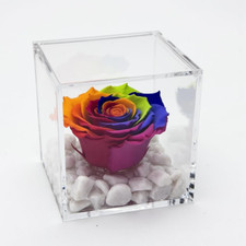 Cubo rosa stabilizzata usato  Bondeno